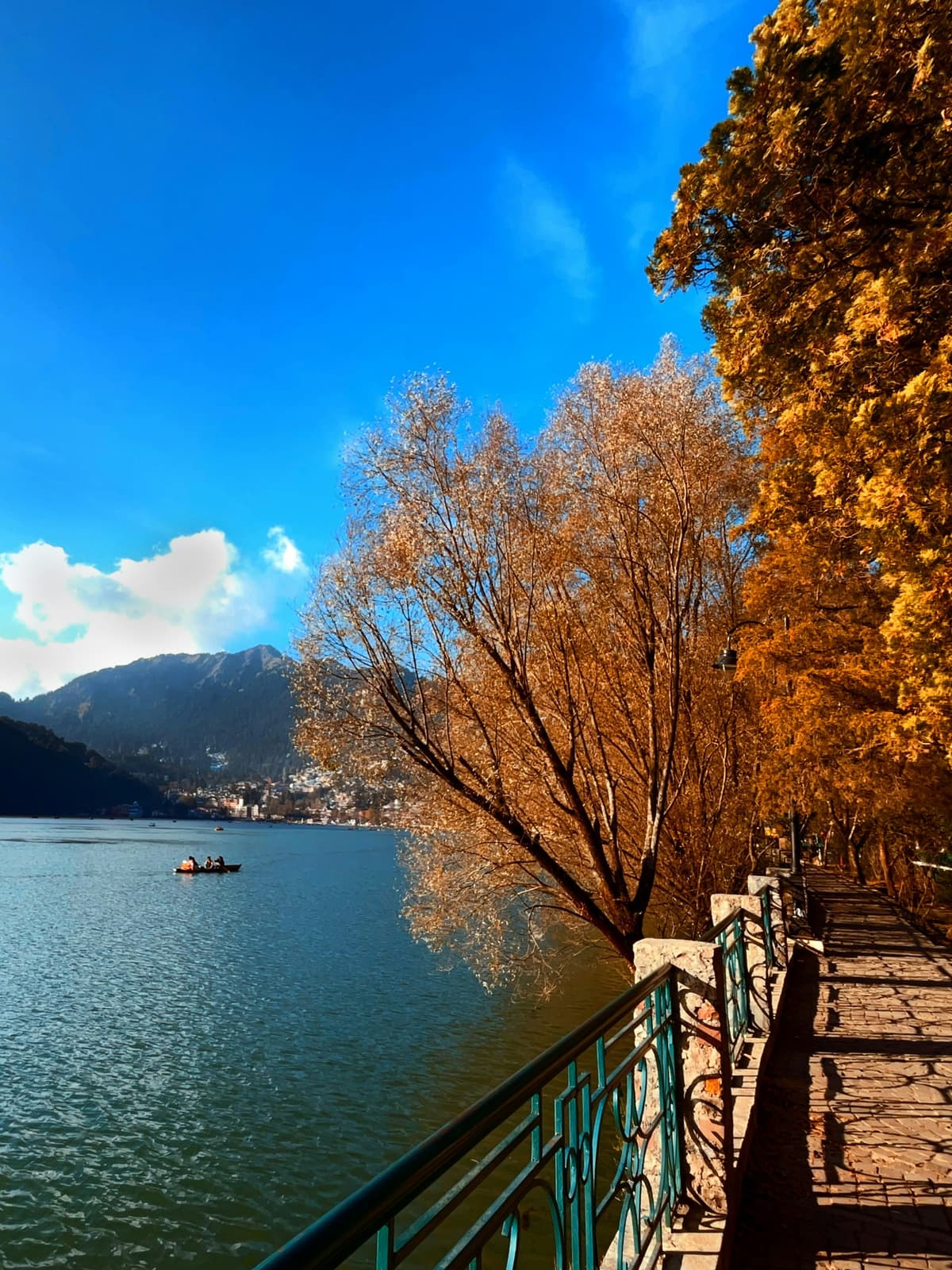 Lakeside Cycling