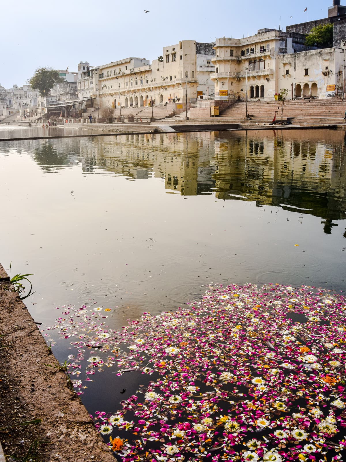 Sacred Pushkar