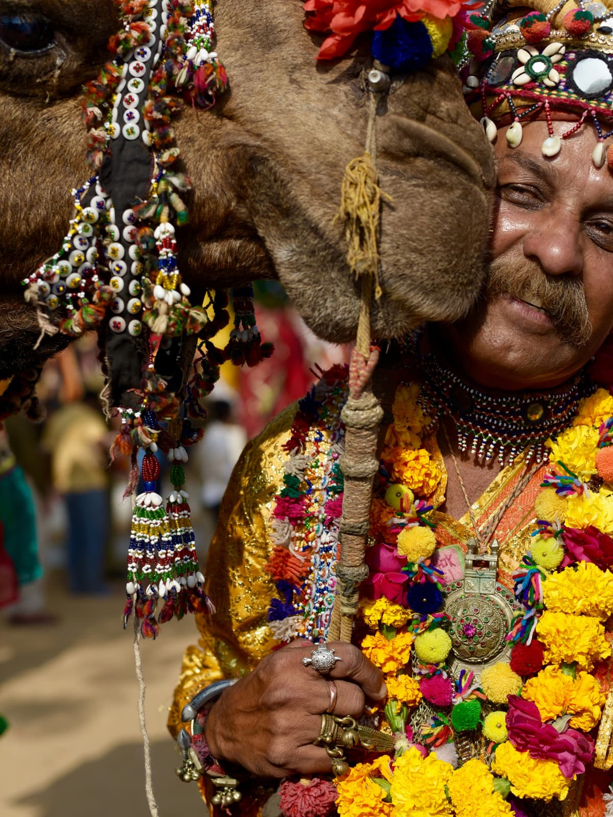 Why cycling changes the way you experience Rajasthan