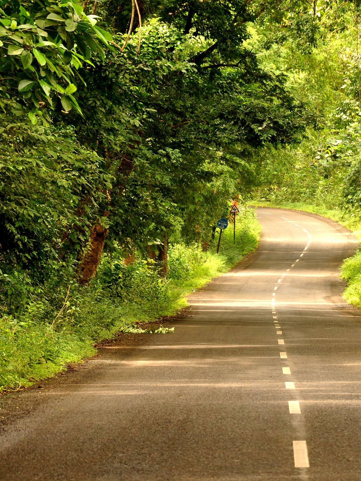 A Morning Worth Waking Up For - Ananthagiri Hills, Telangana