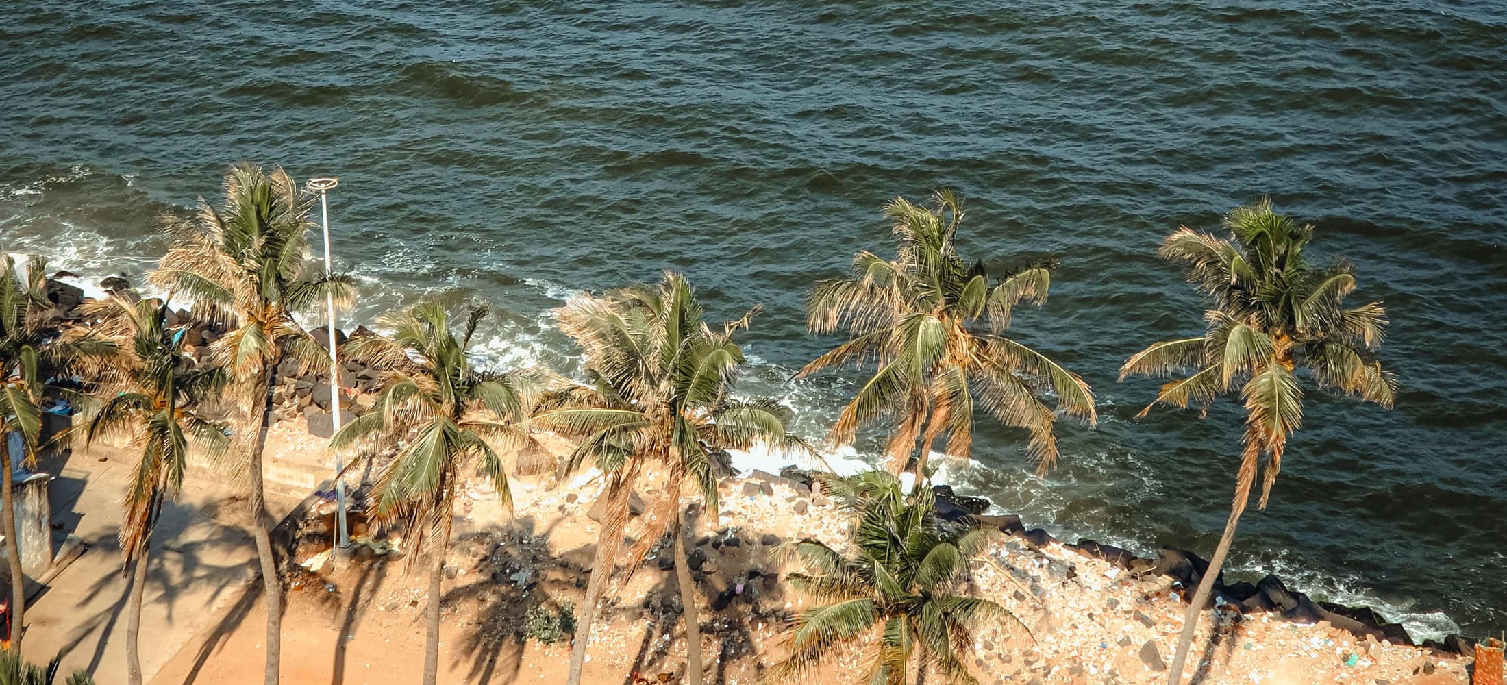 Cycling through Auroville & Pondicherry