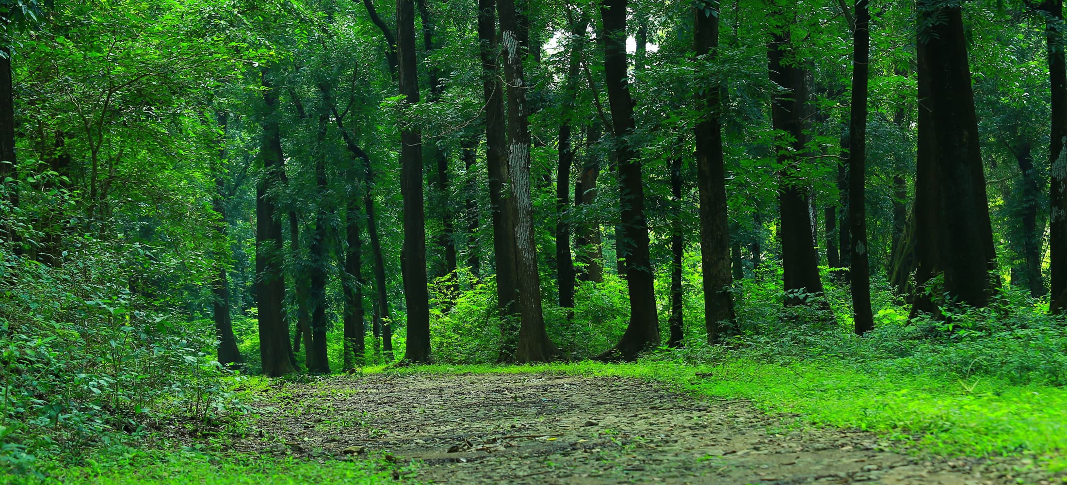 The Human Experiment cycling experience in Auroville & Pondicherry