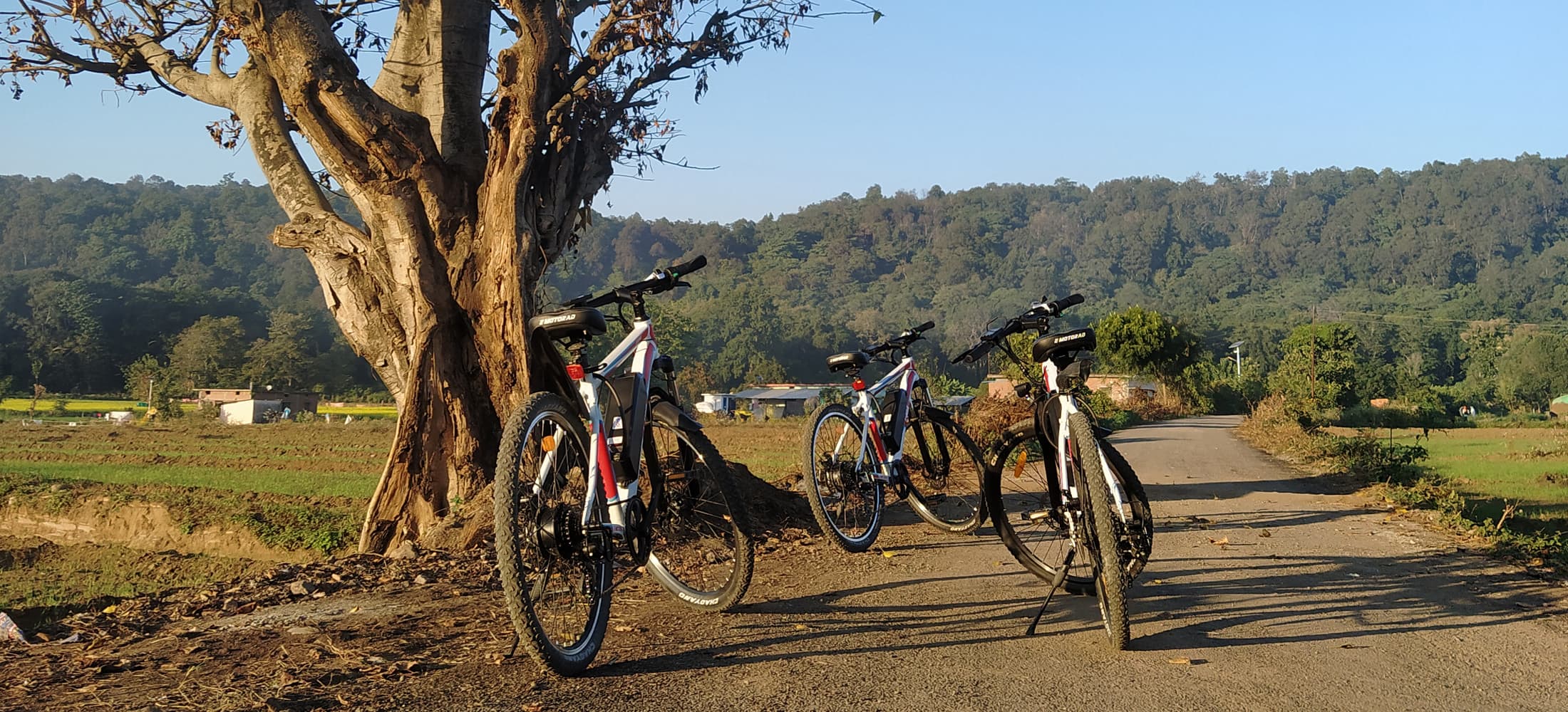 The Slow Safari cycling experience in Jim Corbett, Uttarakhand