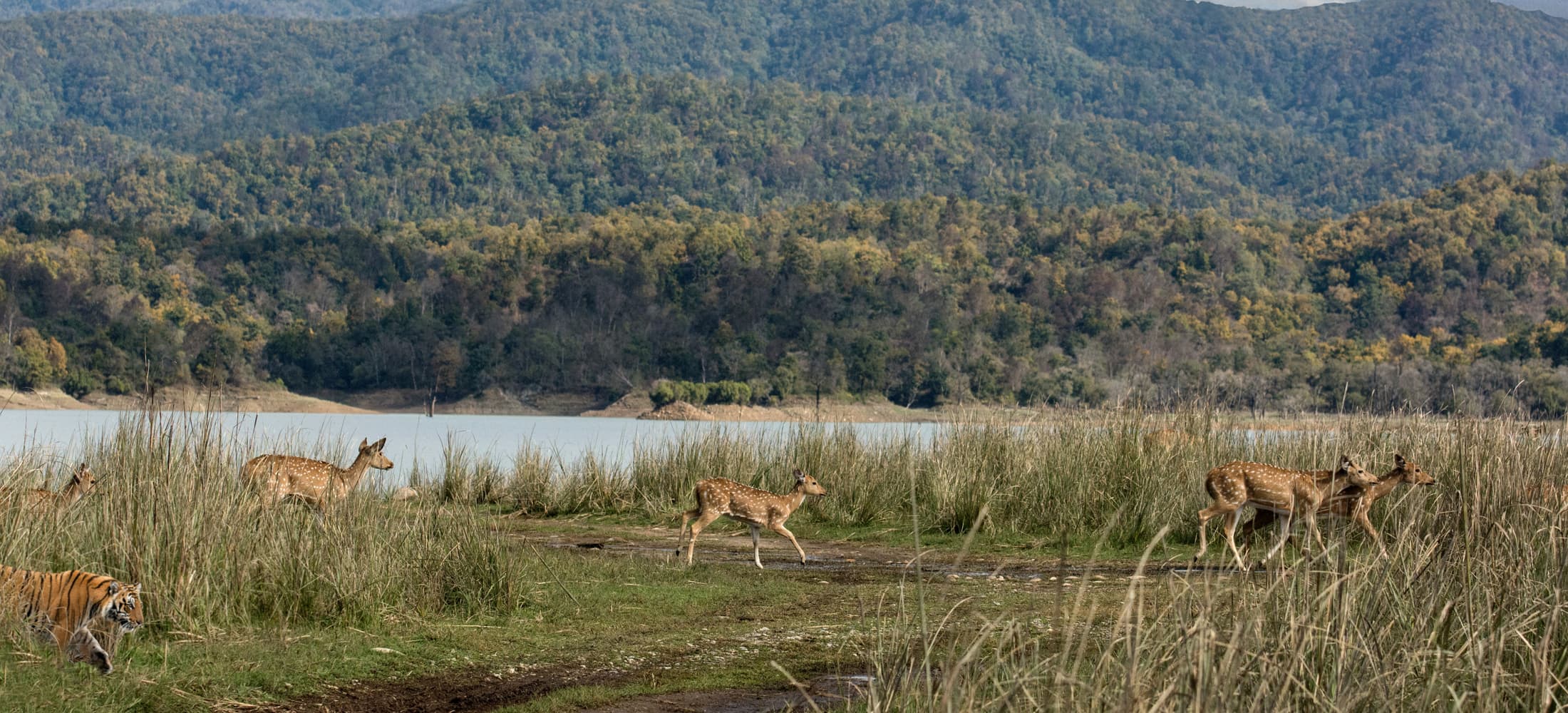 The Slow Safari cycling experience in Jim Corbett, Uttarakhand