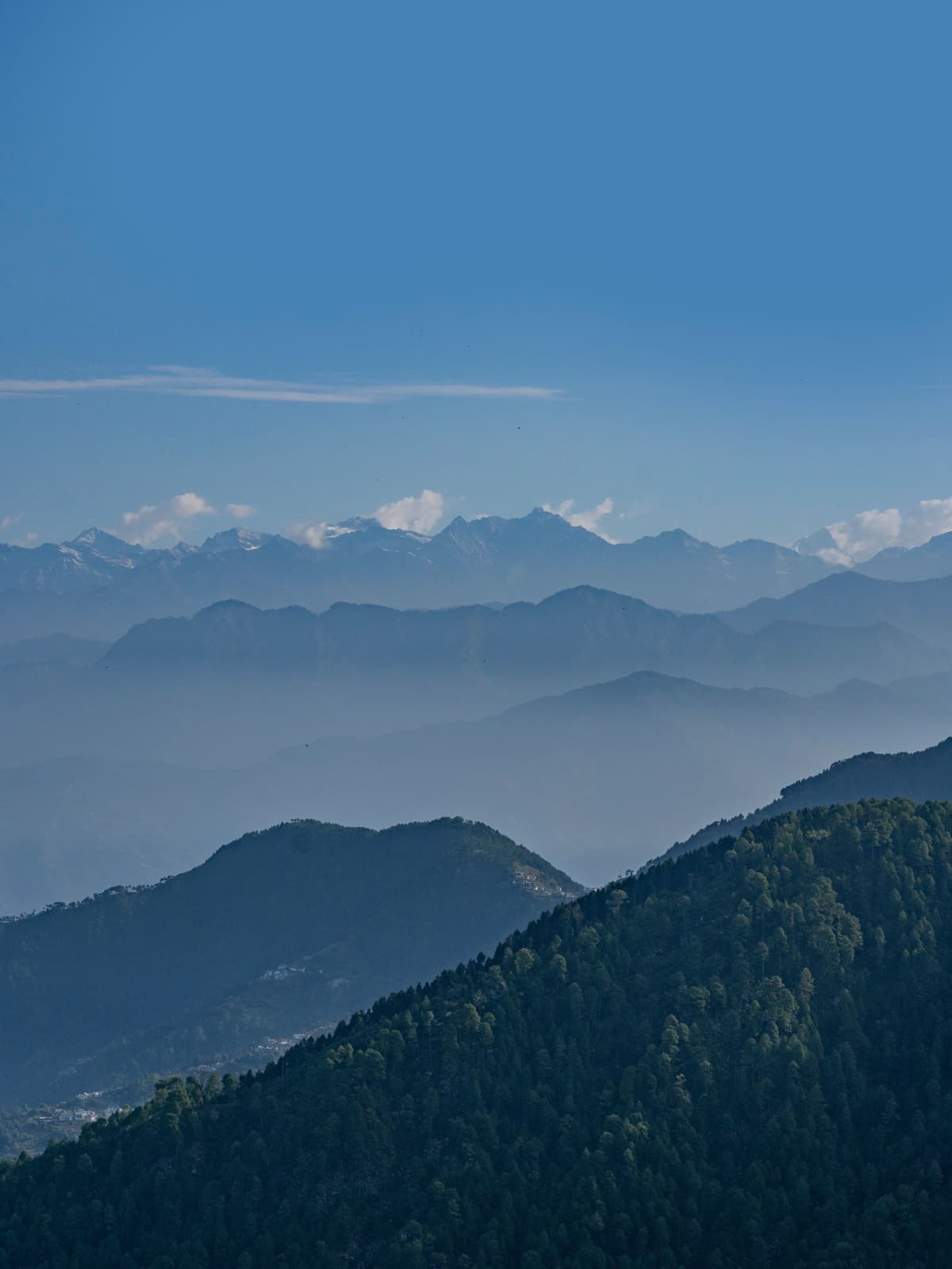 Why it's called Tiffin Top.