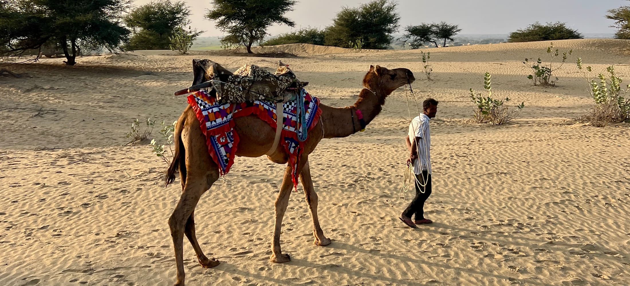 Pushkar cycling experience
